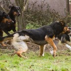 2016-12-10_13-57-34_3873