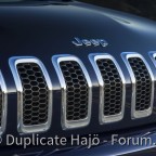 Kühlergrill Modell 2014